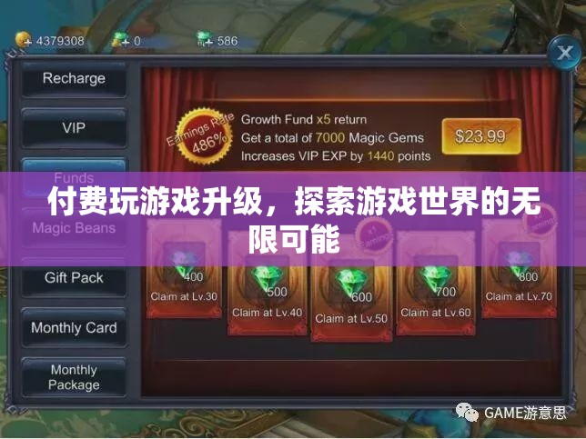 付費(fèi)解鎖游戲新境界，探索無(wú)限可能