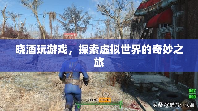 探索虛擬世界的奇妙之旅，曉酒的游戲之旅