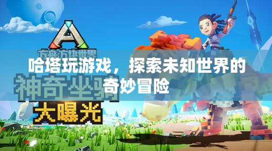 哈塔游戲，探索未知世界的奇妙冒險