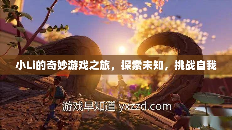 小Li的奇妙冒險(xiǎn)，探索未知，挑戰(zhàn)自我之旅  第1張