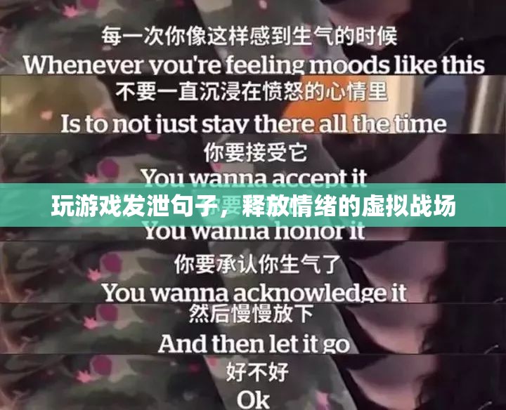 虛擬戰(zhàn)場，玩游戲發(fā)泄情緒