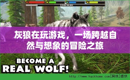 灰狼的游戲，自然與想象的冒險之旅