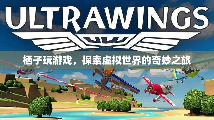 棲子探索虛擬世界的奇妙之旅