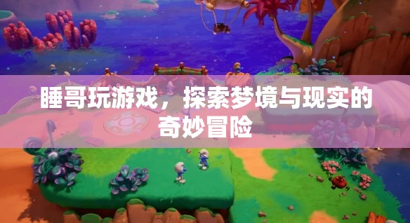 睡哥夢(mèng)境冒險(xiǎn)，探索夢(mèng)境與現(xiàn)實(shí)的奇妙之旅