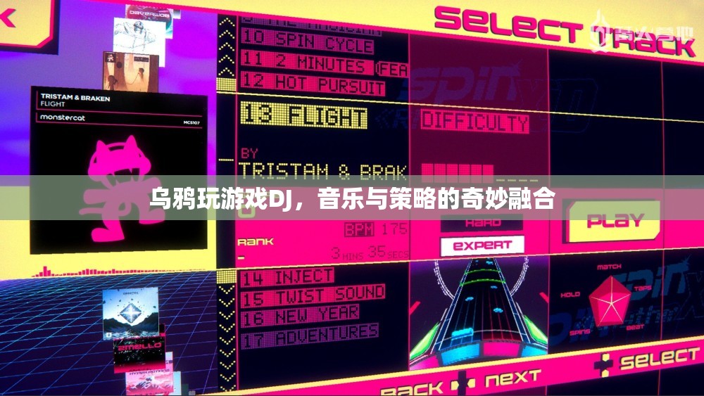 烏鴉玩游戲DJ，音樂與策略的完美碰撞