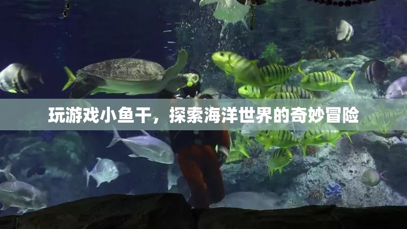 探索海洋奧秘，小魚干冒險之旅