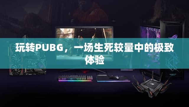 PUBG，生死較量中的極致游戲體驗(yàn)