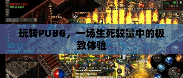 PUBG，生死較量中的極致游戲體驗(yàn)