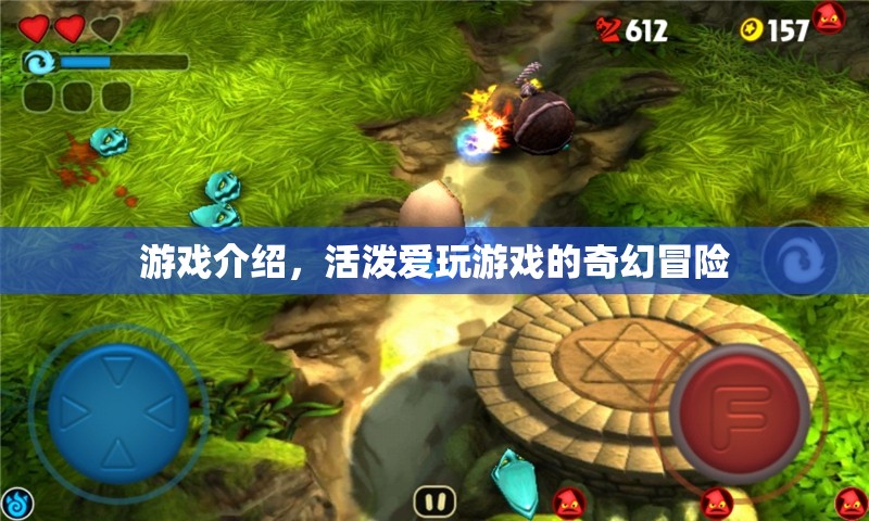 奇幻冒險(xiǎn)，愛(ài)玩游戲的活潑之旅