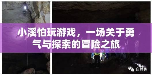 小溪的冒險(xiǎn)，一場(chǎng)關(guān)于勇氣與探索的旅程