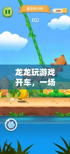 龍龍的游戲開(kāi)車冒險(xiǎn)之旅  第1張