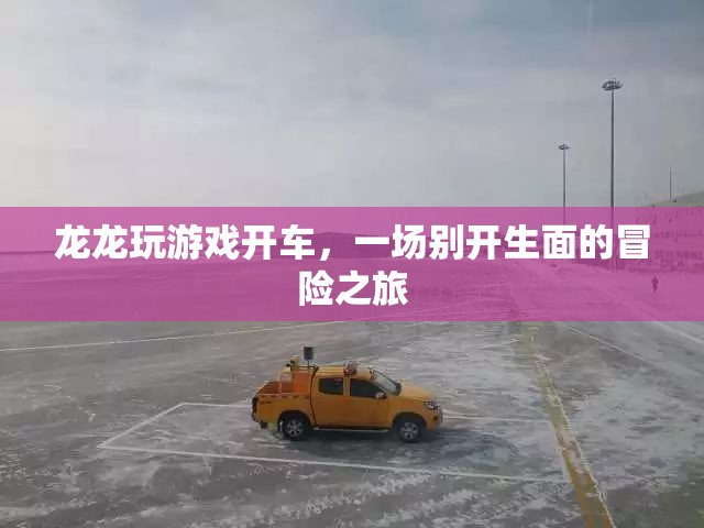 龍龍的游戲開(kāi)車冒險(xiǎn)之旅  第2張