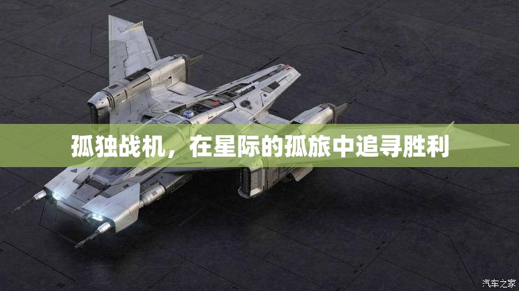 星際孤旅，孤獨(dú)戰(zhàn)機(jī)追尋勝利之路  第2張