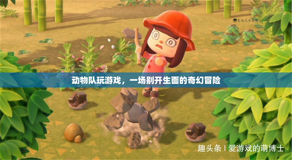 動(dòng)物隊(duì)奇幻冒險(xiǎn)，游戲里的別樣精彩