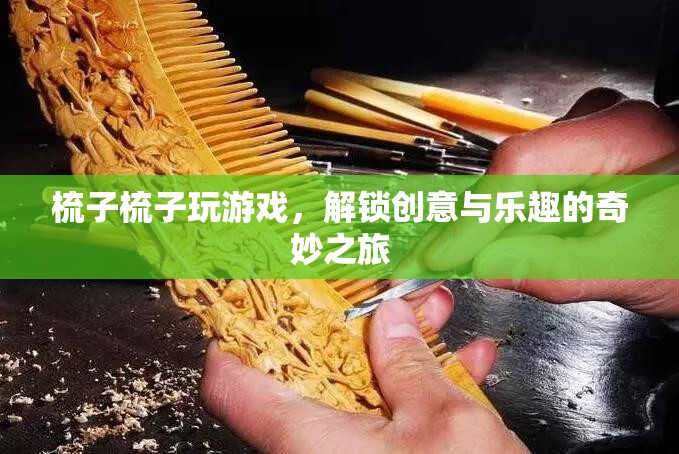解鎖創(chuàng)意與樂趣，梳子梳子玩游戲的奇妙之旅