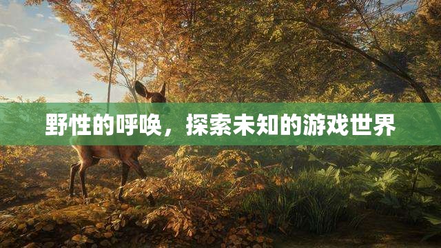 探索未知，野性的呼喚引領(lǐng)你進(jìn)入游戲世界