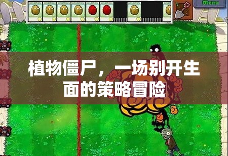 植物僵尸，策略冒險新體驗  第1張