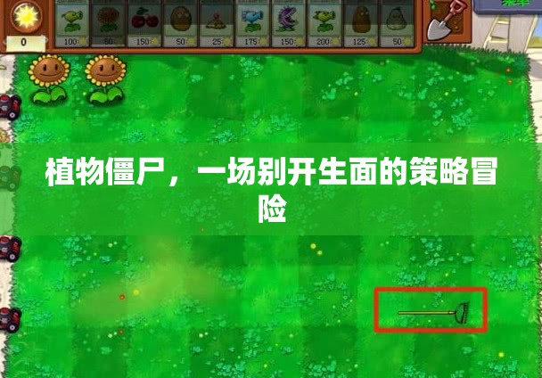 植物僵尸，策略冒險新體驗  第2張