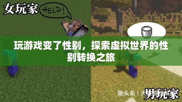 虛擬世界中的性別轉(zhuǎn)換，探索游戲里的性別變換之旅