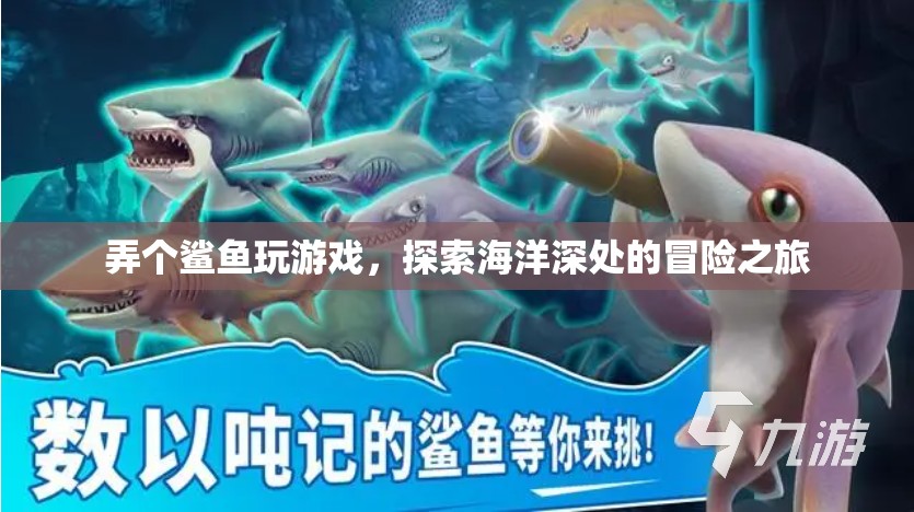 探索海洋深處的冒險之旅，鯊魚帶你玩游戲