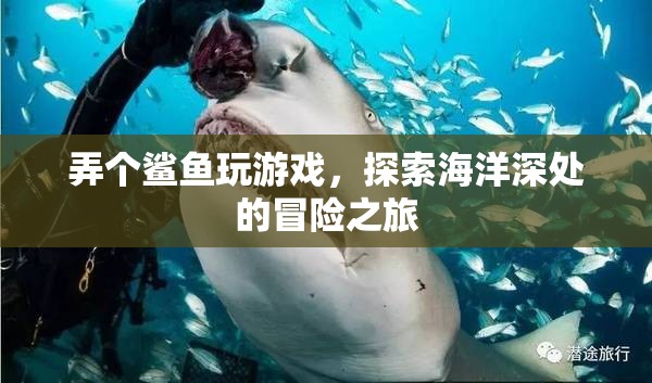 探索海洋深處的冒險之旅，鯊魚帶你玩游戲
