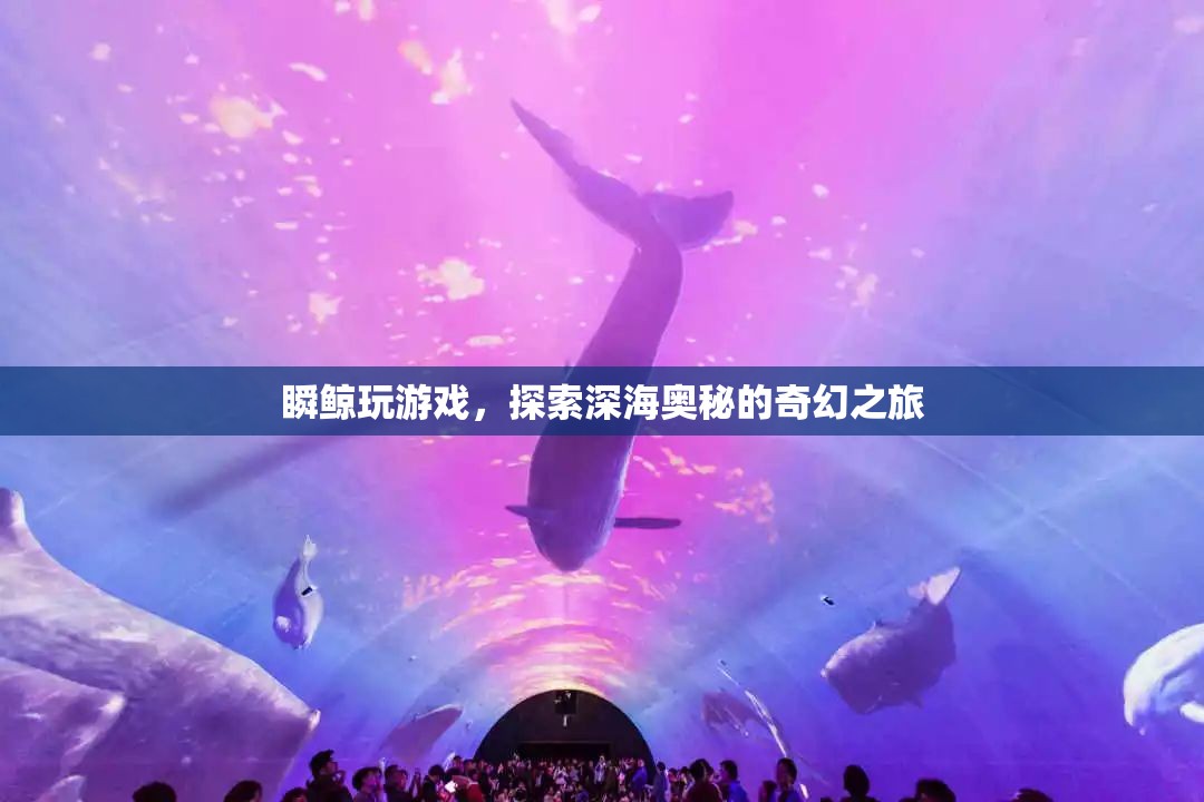 瞬鯨玩游戲，深海奧秘的奇幻之旅  第2張