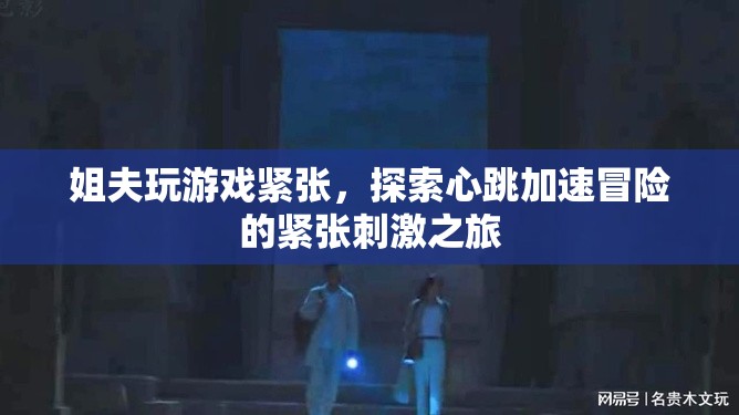 姐夫心跳加速的冒險(xiǎn)之旅，緊張刺激的游戲探索