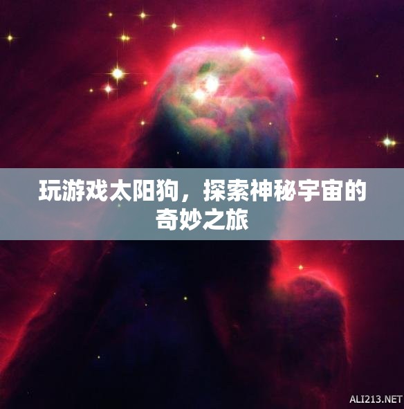 太陽(yáng)狗，探索神秘宇宙的奇妙之旅