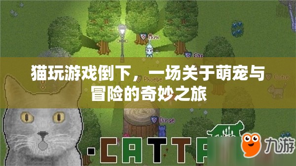 萌寵冒險記，貓咪游戲倒下引發(fā)奇妙之旅