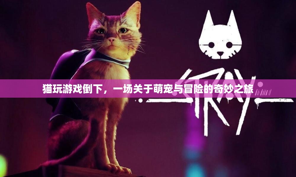 萌寵冒險記，貓咪游戲倒下引發(fā)奇妙之旅