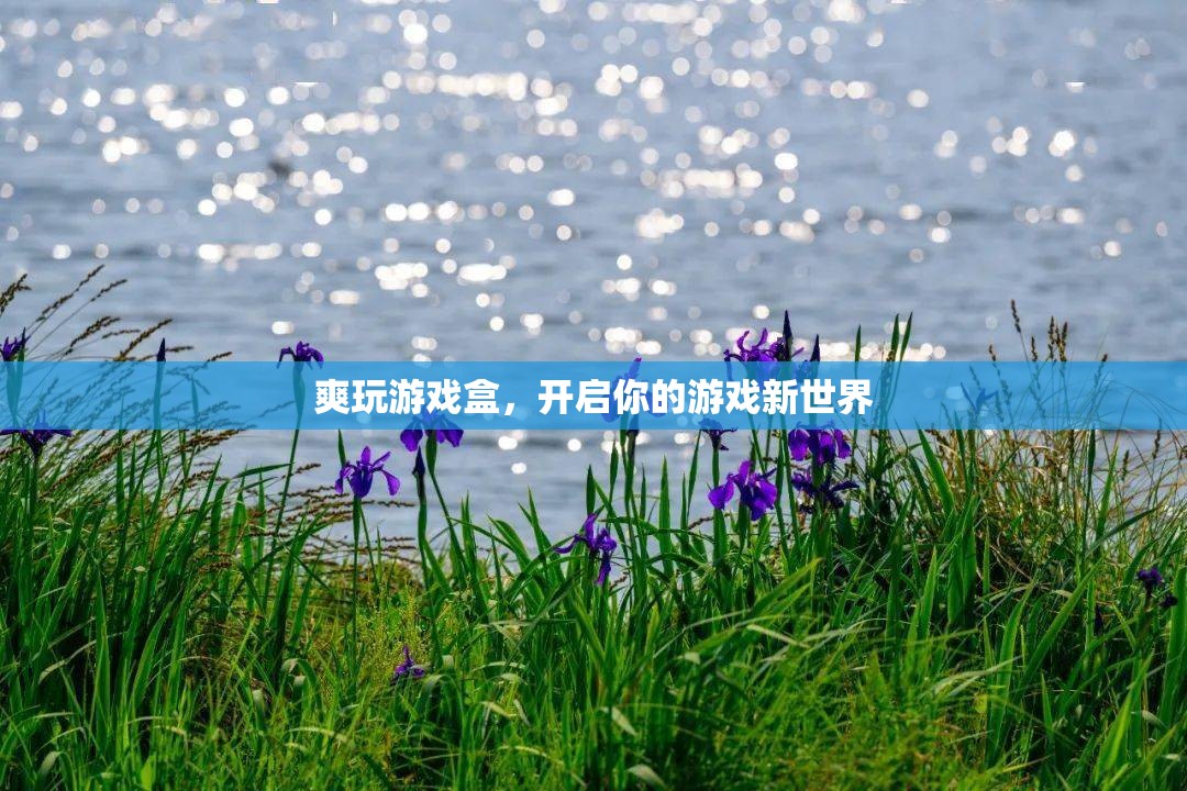 爽玩游戲盒，開啟你的游戲新世界之旅