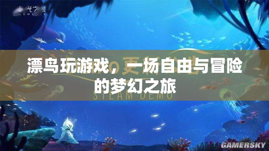 漂鳥玩游戲，一場夢幻之旅的冒險與自由