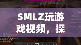 探索游戲世界的奇妙之旅，SMLZ玩游戲視頻  第2張