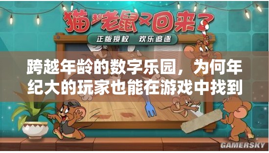 跨越年齡的數(shù)字樂園，揭秘年長玩家游戲樂趣的奧秘