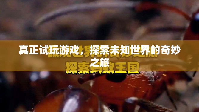探索未知世界的奇妙之旅，試玩游戲的冒險之旅