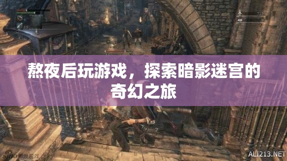 熬夜探索暗影迷宮，奇幻游戲之旅開啟