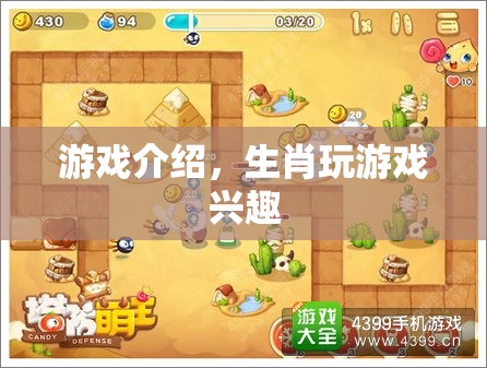 生肖游戲，探索你的生肖之旅