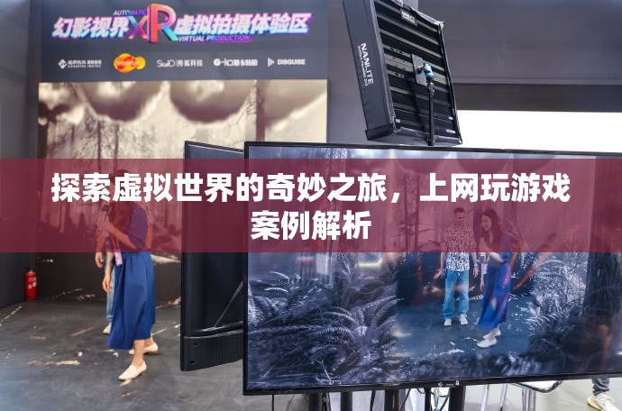 探索虛擬世界的奇妙之旅，上網(wǎng)玩游戲案例解析