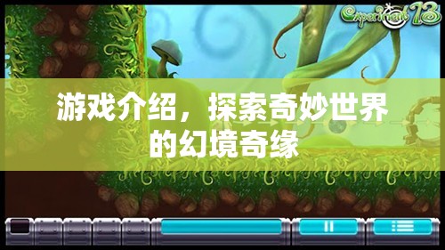 幻境奇緣，探索奇妙世界的冒險(xiǎn)之旅
