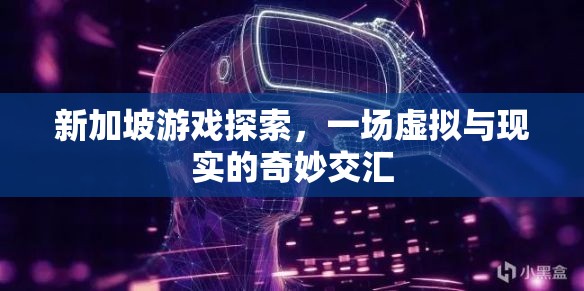 新加坡游戲探索，虛擬與現(xiàn)實(shí)的交匯之旅
