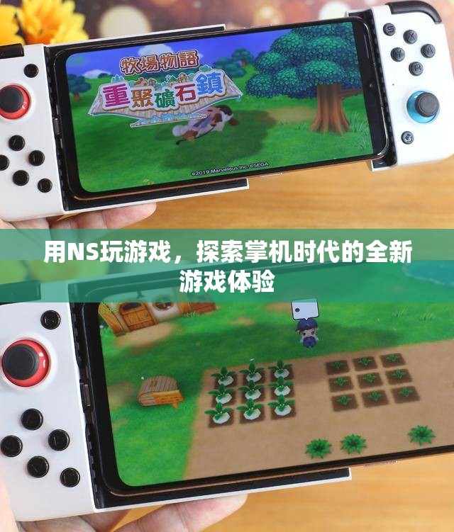 NS掌機，探索全新游戲體驗  第2張