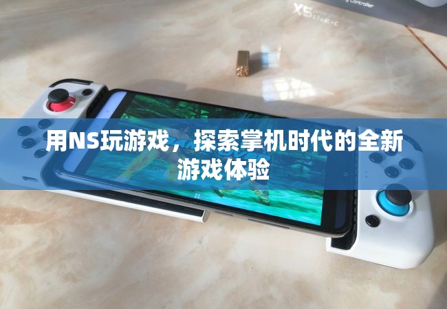 NS掌機，探索全新游戲體驗  第3張