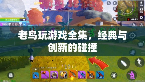 老鳥玩游戲，經(jīng)典與創(chuàng)新碰撞的盛宴
