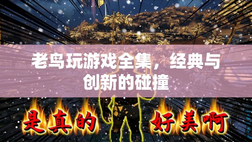 老鳥玩游戲，經(jīng)典與創(chuàng)新碰撞的盛宴