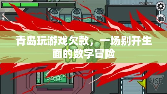 青島玩游戲欠款，一場(chǎng)數(shù)字時(shí)代的冒險(xiǎn)之旅