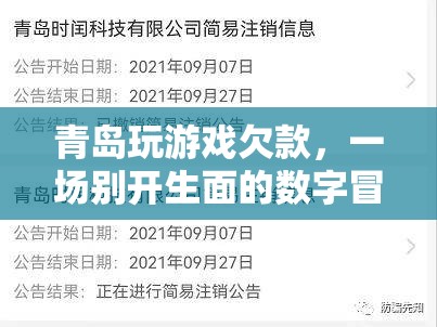 青島玩游戲欠款，一場(chǎng)數(shù)字時(shí)代的冒險(xiǎn)之旅