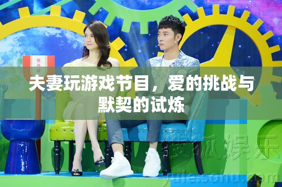 愛(ài)的挑戰(zhàn)，夫妻共赴游戲節(jié)目，默契試煉之旅
