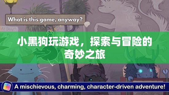 小黑狗的游戲冒險之旅