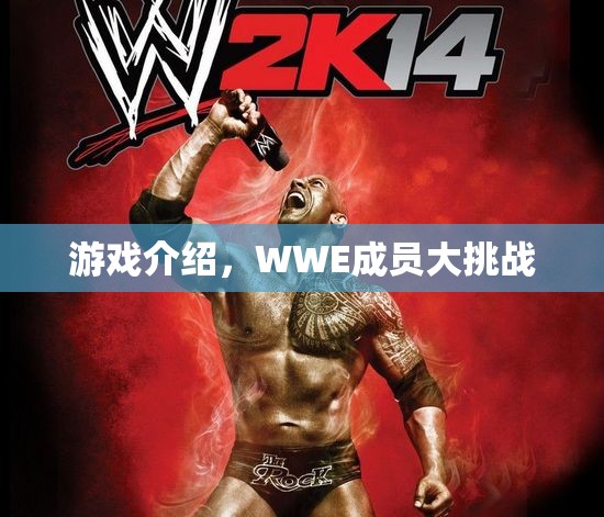 WWE成員大挑戰(zhàn)，熱血競技，誰將勝出？