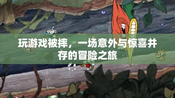 一場(chǎng)意外與驚喜并存的冒險(xiǎn)之旅